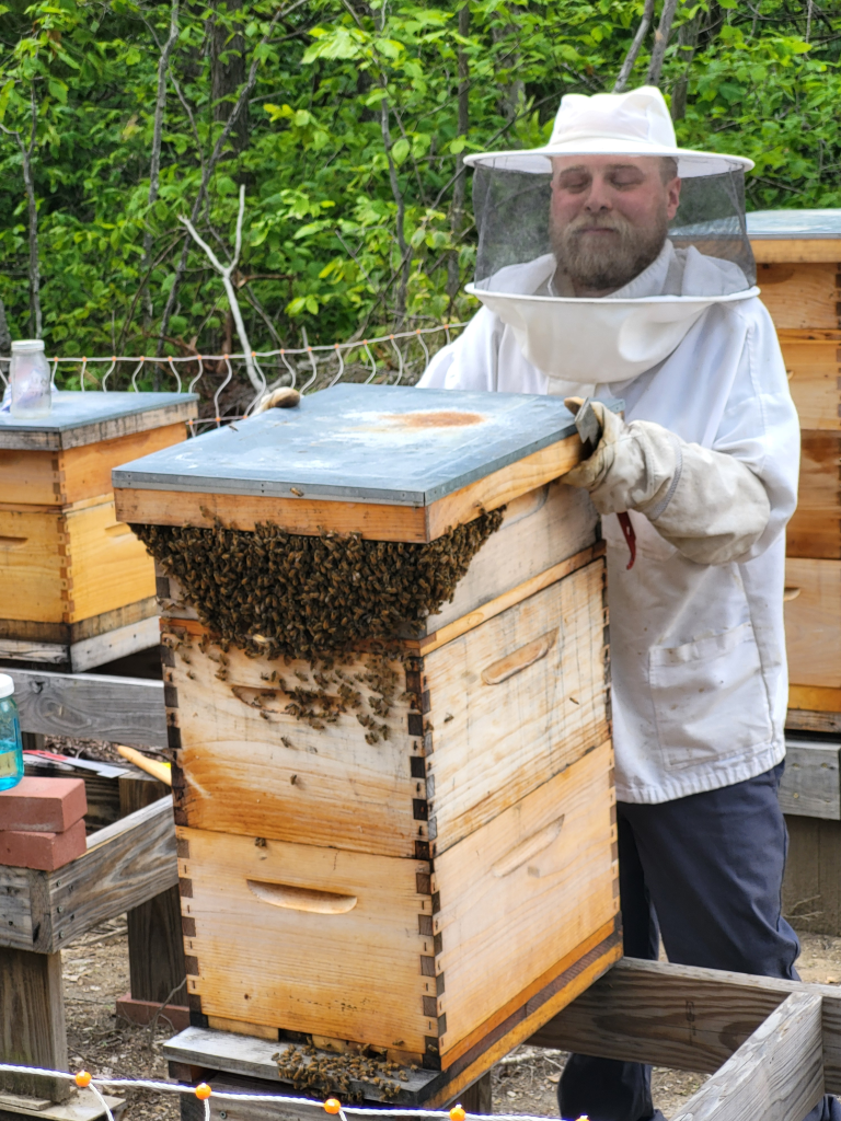Beekeeper inspecting hive box outdoors