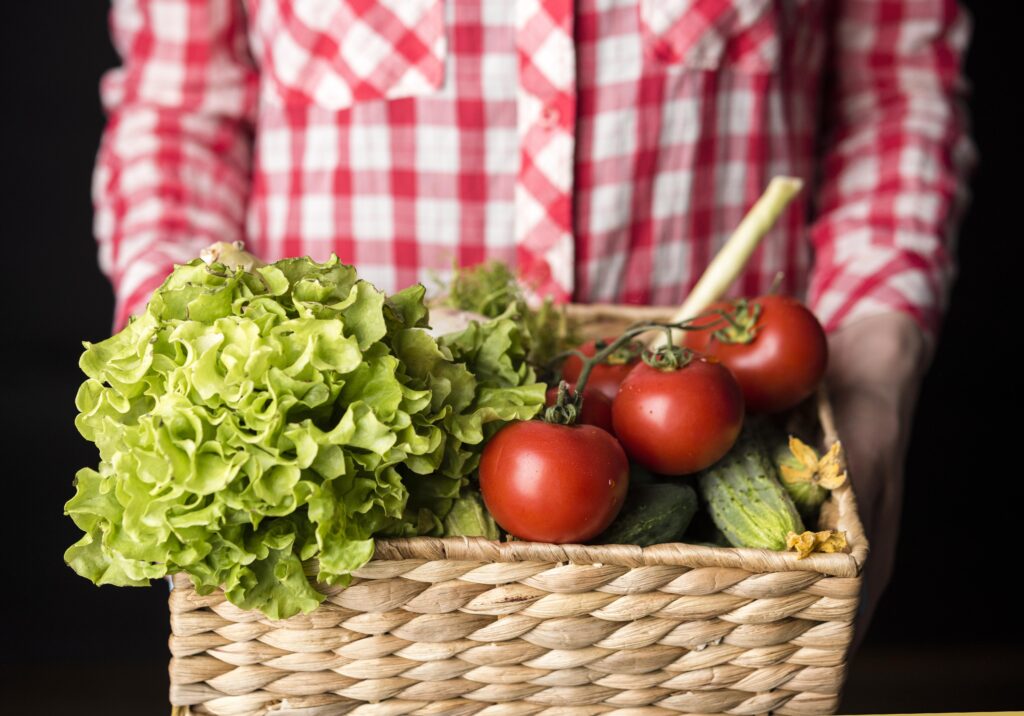 Fresh vegetables in basket including lettuce and tomatoes